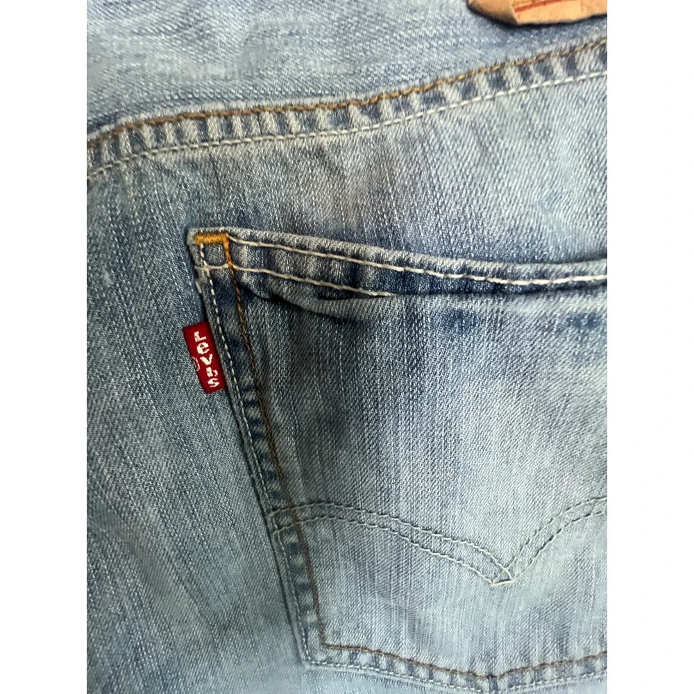 Levis levis 507